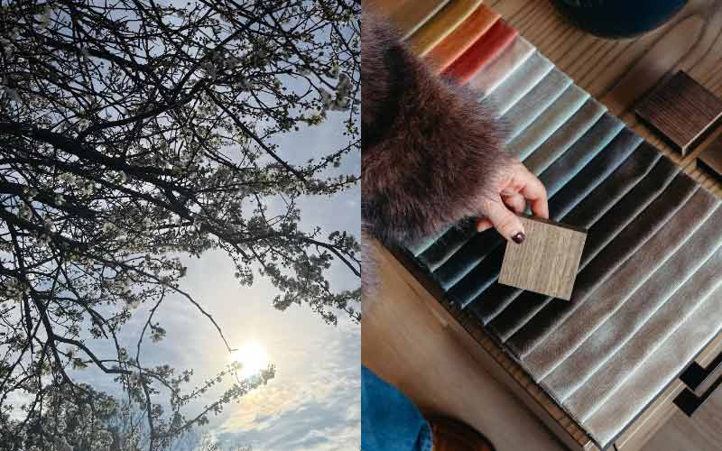 Sunny mornings under the trees and velvet fabrics
