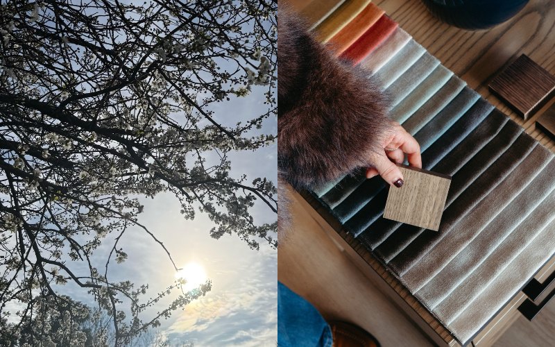 Sunny mornings under the trees and velvet fabrics