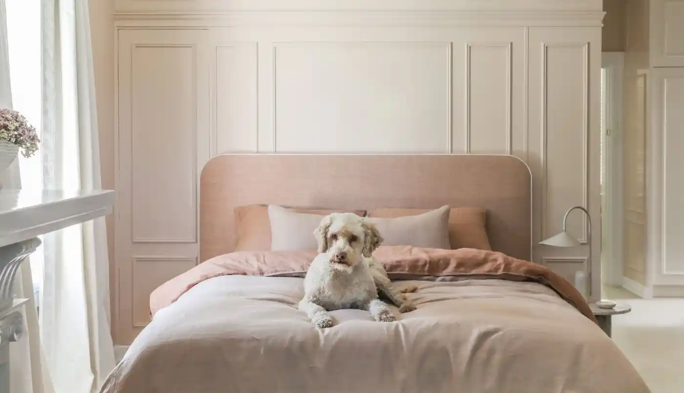 Blush pink bedroom with curved custom bedhead Melbourne Australia