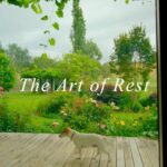 The Art of Rest: Where It All Began