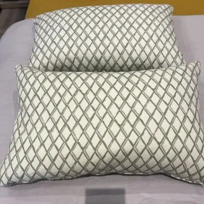 Two cushions in green & white