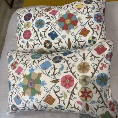 Two cushions in Anna Spiro